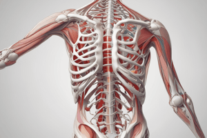 Physiology of Musculoskeletal System Lecture 5