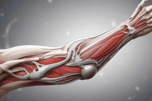 Elbow Biomechanics and Anatomy