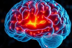 Neuroscience Basics Quiz