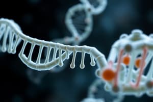 Protein Synthesis: Initiation