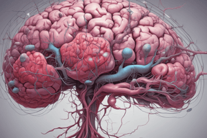 Waldenström Macroglobulinemia: Neurological Symptoms