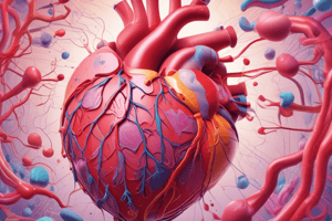 Cardiac Function and Regulation Quiz