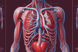 Human Physiology Quiz