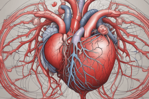 Heart Physiology: Sequence of Excitation