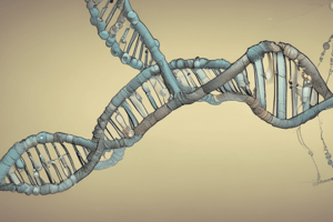 DNA Repair Mechanisms Quiz