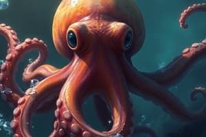 Octopus-Fish Hunting Dynamics