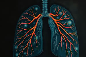 Respiratory System Overview