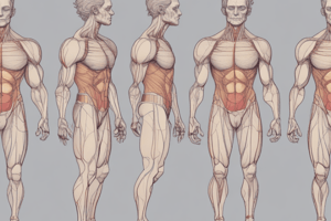 Body Composition: Understanding Fat and Lean Tissues