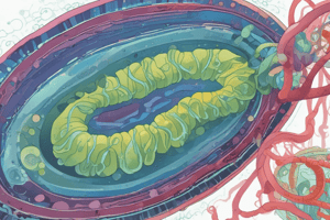 Genetic Exchange in Prokaryotes Quiz