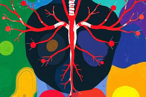 Endocrine System Overview