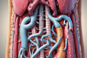 Digestive System Overview