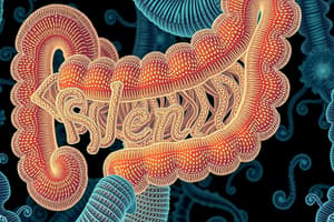 Biology Chapter on Absorption in the Ileum