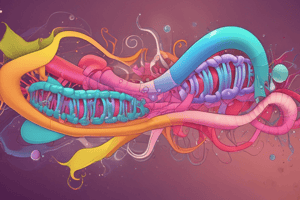 Enzymes of Protein Digestion