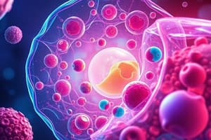 Cell Structure Quiz