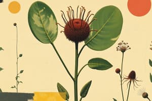 Características e Reprodución das Plantas