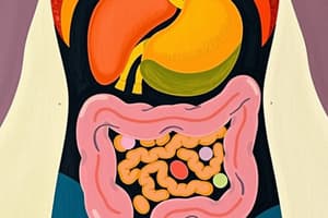 Digestive System Overview