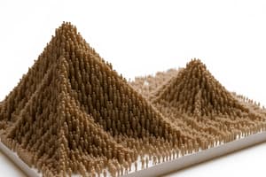 Demographic Transition Model: Stage 5 & Population Pyramids