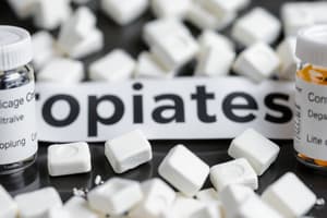 Opiates and Related Substances Overview