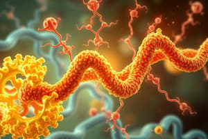 Protein Hormones Synthesis Quiz