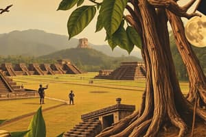 Mayan Chocolate History and Cultivation