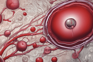 Macrocytic Anemias: Types and Diagnosis