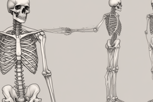 patho2final: Bone Basics