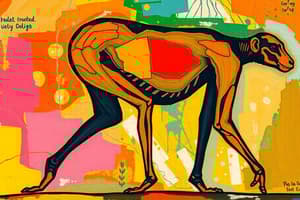 Hominin Evolution