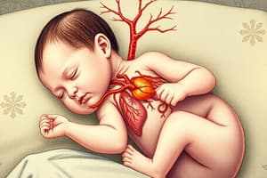 Newborn Adaptation: Respiratory & Cardiovascular Systems