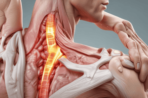 Shoulder Instability and Recurrent Instability Classification