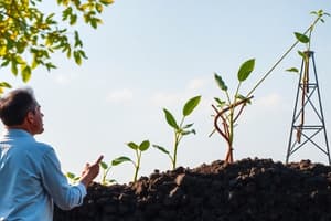 Rôle de la puissance publique en développement durable