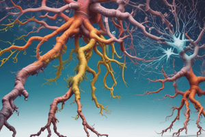 Phylogeny Tree Construction Principles