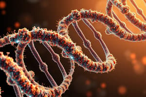 DNA Structure and Replication Quiz