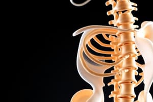 MPP: BLOCK 2: LOWERY: SKELETAL/BONE PHYS. & PHARM (PART 1 OF 4)