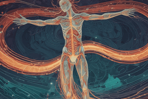 Peripheral Neuropathy Clinical Presentation