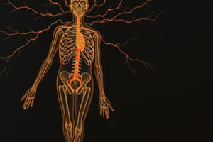 Endocrine System Activity Mechanisms Quiz