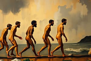 Human Evolution Theories Quiz