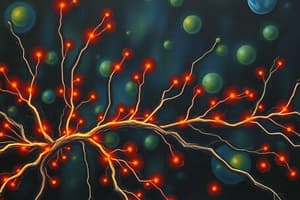 Pain Pathways and Opiates Overview