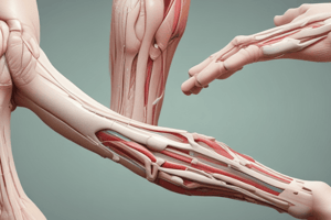 Elbow Physical Examination Techniques