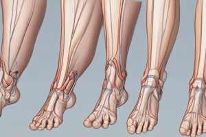 Limb Length Discrepancies - Clinical Podiatric Biomechanics & Surgery