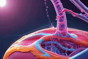 Enantiostasis and Na-K Pump Quiz