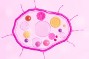 Week 3 - Cell Structure and Function Quiz