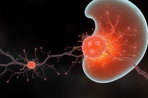 Embryology: Early Development and Germ Layers