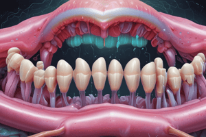 Dental Adhesion and Bacterial Attachment