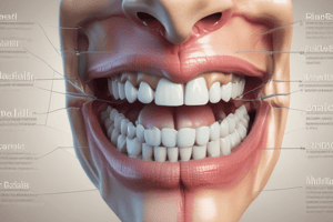 Anatomía dental: sonrisa ideal