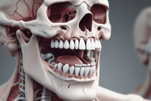 Anatomia Dental: Oclusal Parcial e Total