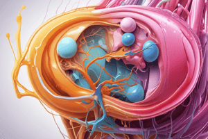 Urinary System Functions and Abnormalities Quiz