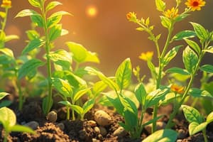 Plant Nutrition and Soil Biology