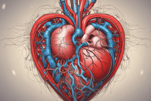 Cardiovascular System Overview