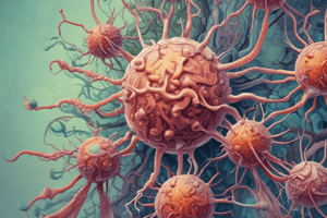 Rhabdovirus Characteristics