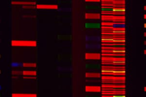 SDS-PAGE Biochemistry Quiz